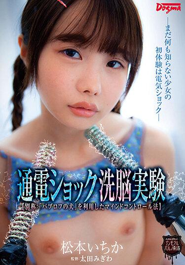 <? echo the_title() ?>