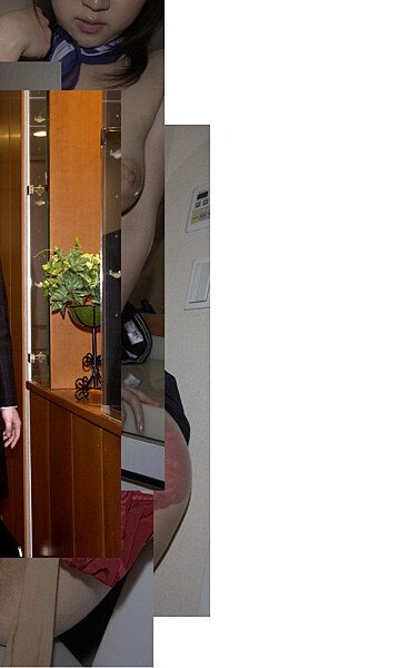 <? echo the_title() ?>